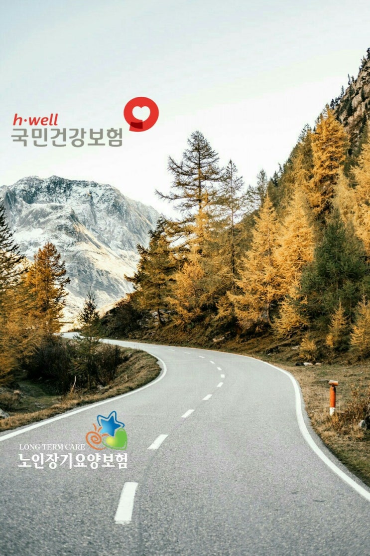  노인장기요양보험 신청대상, 신청자격과 입주요양서비스 이용절차 [노인장기요양등급 안내]