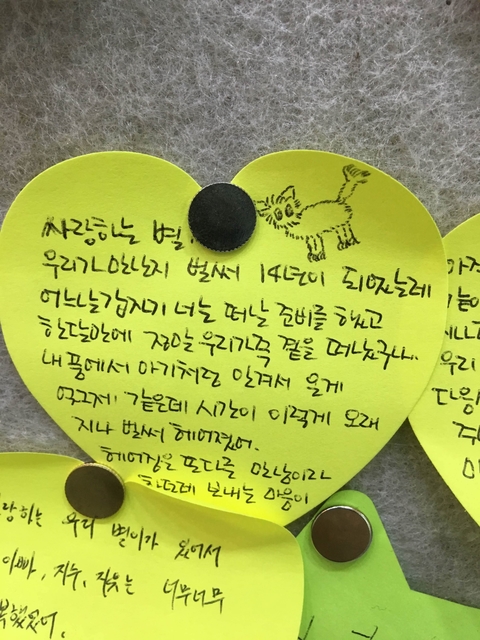  노원구 도봉구 강북구 성북구 강아지 장례식장 애견장례식장[레인보우엔젤]