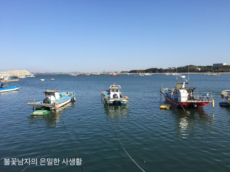  [여행사진] 당진 "장고항" (다시 찾은 바닷가..)