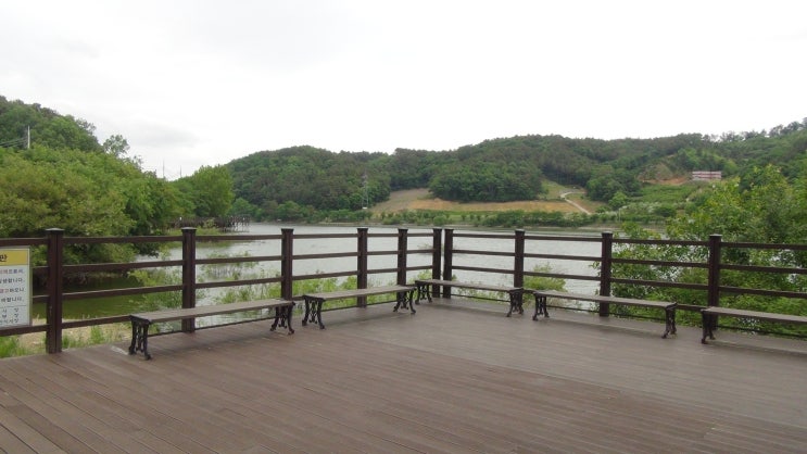  세종 고복저수지(高福貯水地)