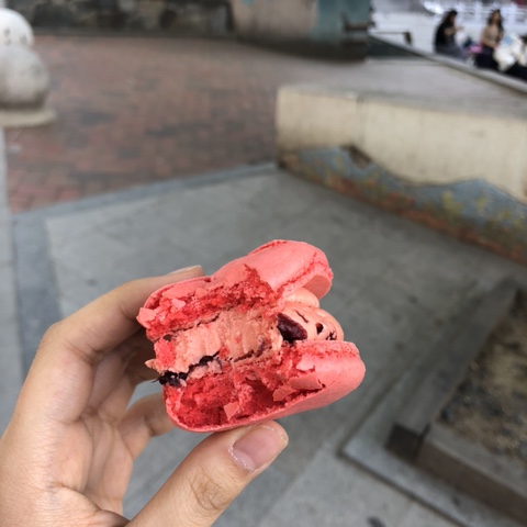  [이대 마카롱] 달콤 쫀득 헬로케이크