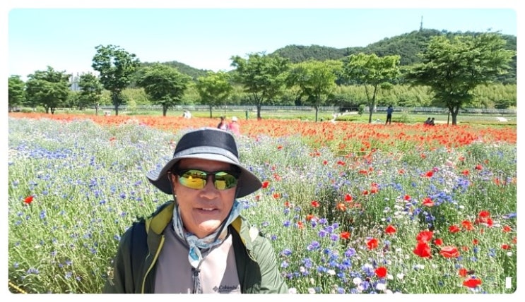   울산대공원~대밭공원 꽃산책