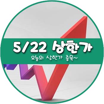 오늘의 상한가 및 테마주 5월 22일 _ 대한방직 광림 상보 에이치케이 쌍방울 DSR 디알텍