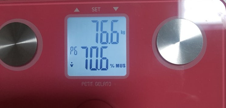  요즘 일상 5월초부터 다이어트 시작, 10Km 이상 뛰고 걸어도 살빠지는 것은 3Kg