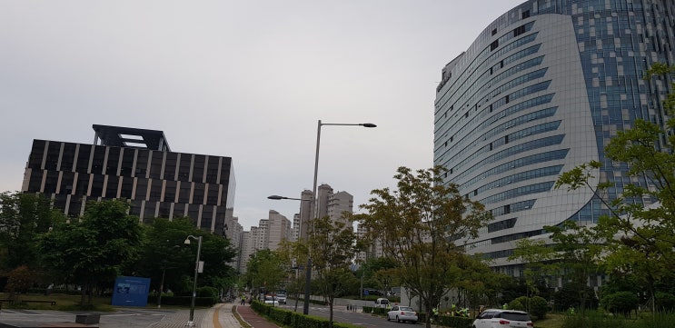  체육시설 임대