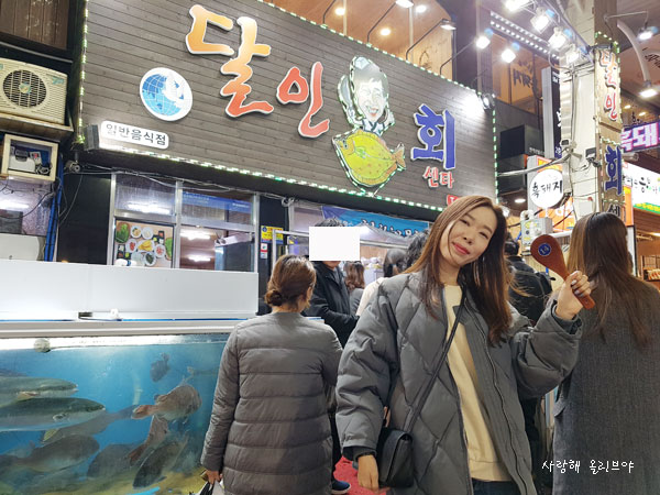  제주도-11월9일(3편)-제주도여행,반려견과 제주도 여행하기,서귀포매일올레시장/달인회센타,해물파전
