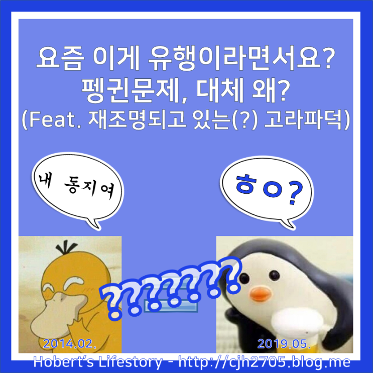  [짧은탐구]요즘 이게 유행이라면서요? 펭귄문제, 대체 왜? (Feat. 재조명되고 있는(?) 고라파덕)