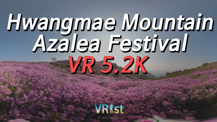  [5.2K VR] 합천 황매산 철쭉제 ㅣ Hapcheon Hwangmae Mountain Azalea Festival ㅣ 360VR영상 ㅣ고프로퓨전