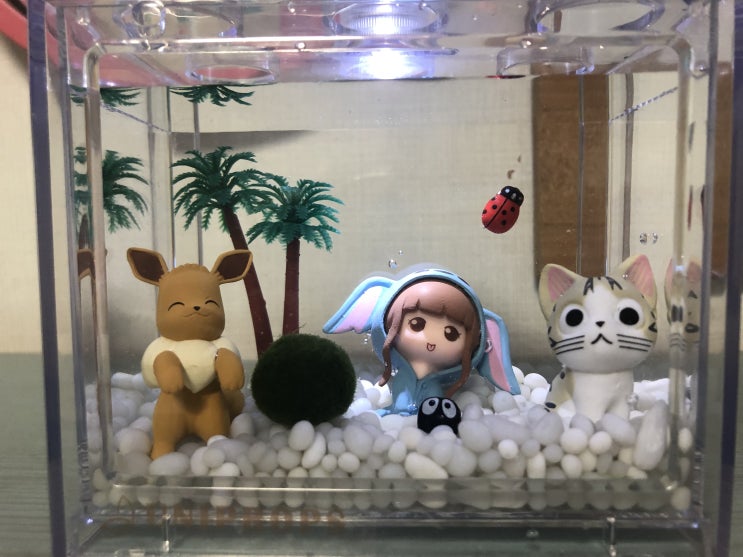  마리모키우기 소녀와야옹이 DIY 세트  너무 귀여웡