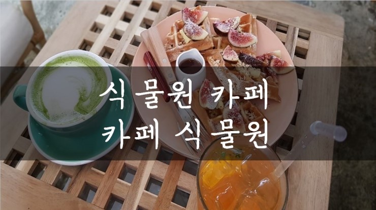  [성남/모란] 청정카페, 모란 카페식물원