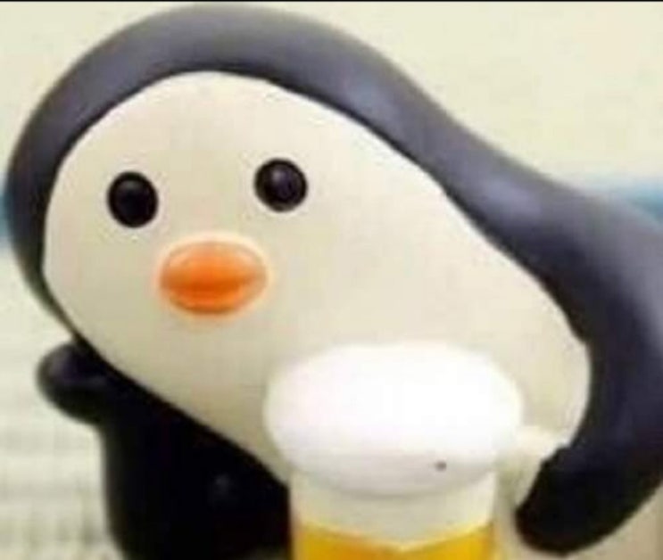  펭귄문제 정답은? 못맞추면 3일간 펭귄프사~요즘 인싸들 놀이