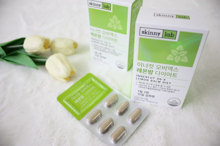  내장지방빼는법:: 홈앤쇼핑 레몬밤 다이어트 뱃살다이어트 해볼까??