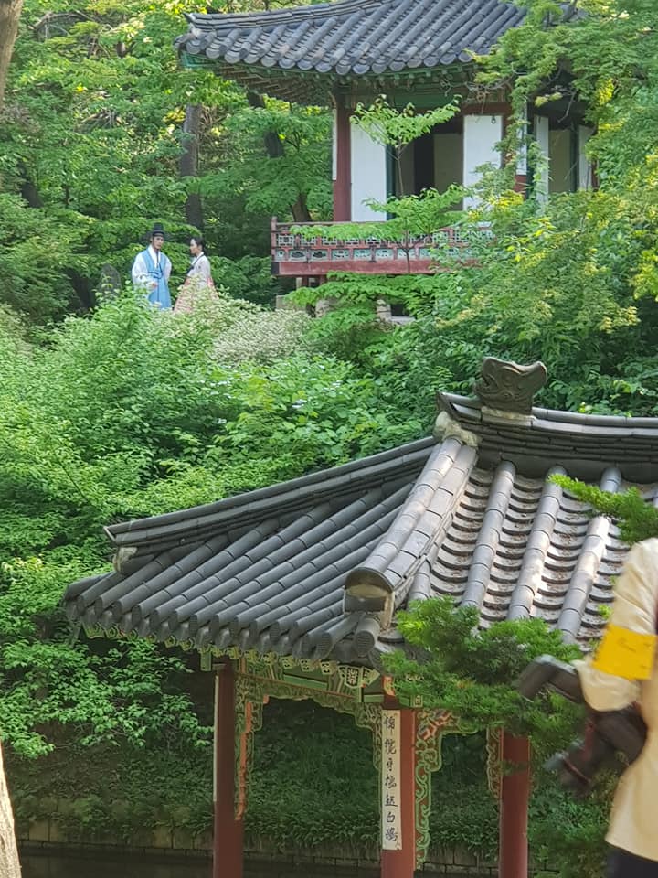  오늘 오후 창덕궁에서 외국인 사절단과 함께 한복의 대가이신 박술녀여사의 궁중 한복쇼에 참석했습니다.