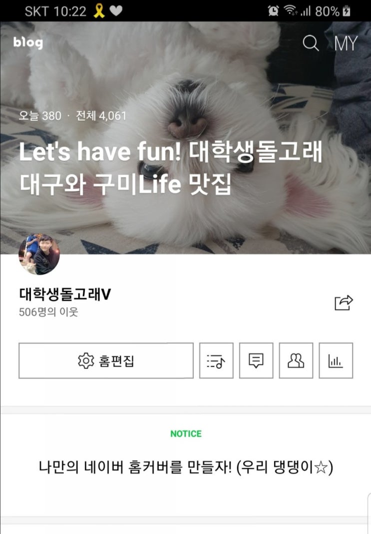  이웃 500명 돌파!! 이젠 1000명가야죠~