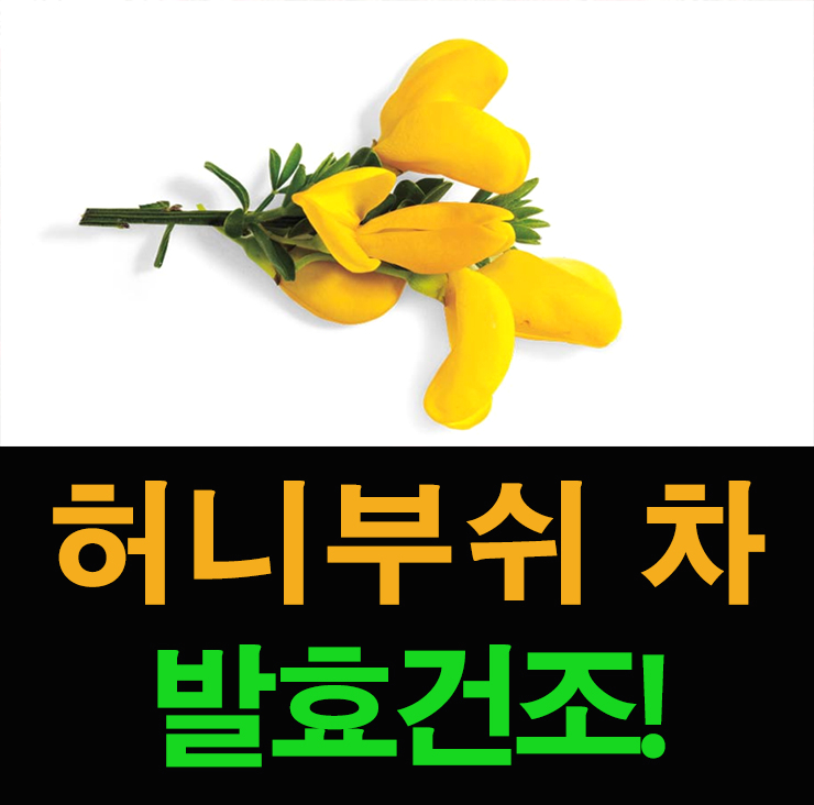  먹는 화장품 허니부쉬 효능 수용성 영양소비타민P 다량함유(허니부시차 파는곳)