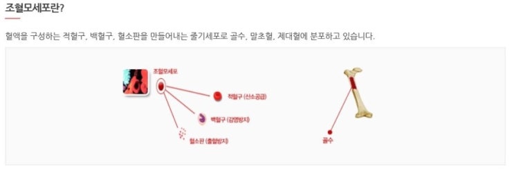  조혈모세포 기증 이야기 01. 유전자 정밀 검사, 건강검진
