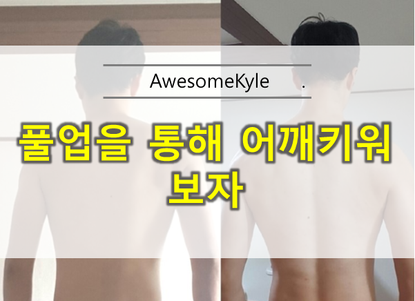  풀업 늘리기 : 치닝디핑 으로 머슬업을 향해서