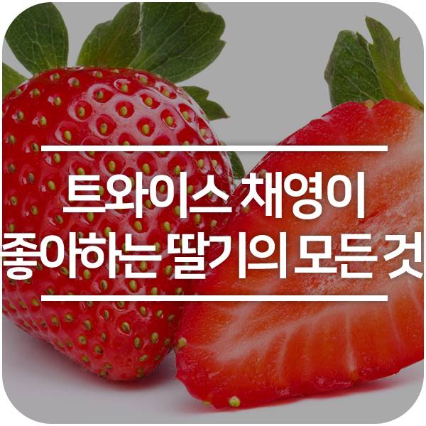 아이돌 트와이스 딸기 공주 채영님에게 영감을 준 제철 과일은 무엇일까요?(사심 주의)
