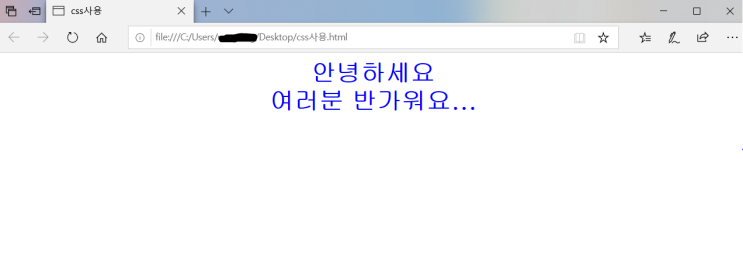  <CSS> CSS란?