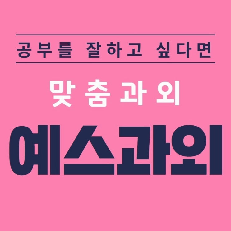  성남 분당파크뷰 과외 봇들마을 영어과외 이매동 돌마고등학교 수학과외