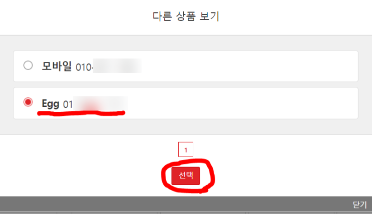  KT LTE 아이언 에그 사용량 알아보기