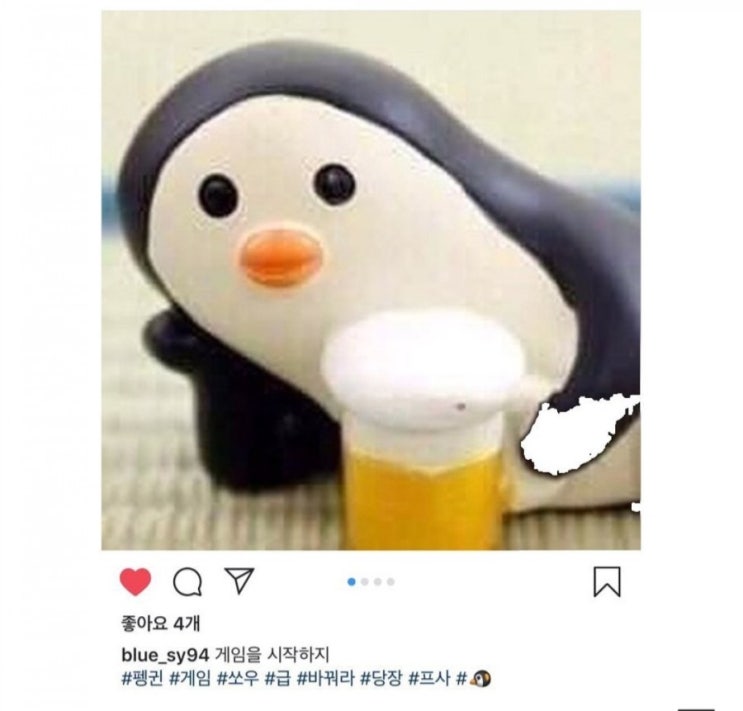  펭귄 프사 문제 feat. 펭귄 웃짤 움짤