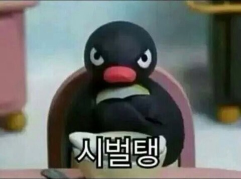 펭귄문제 정답은? 펭귄프사 받아가세요