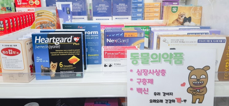 신월동 동물약국 온누리 조은약국의 동물의약품 목록