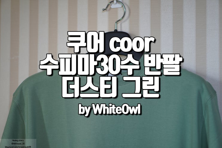  여름도 쿠어 하세요! coor 수피마 오버핏 30수 더스티 그린 반팔티 사이즈 및 착용 후기