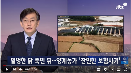 멀쩡한 닭 죽이고..냉동고에 뒀다가 폭염때 보험금 청구 - JTBC News 멀쩡한 닭 죽이고..냉동고에 뒀다가 폭염때 보험금 청구 - JTBC News