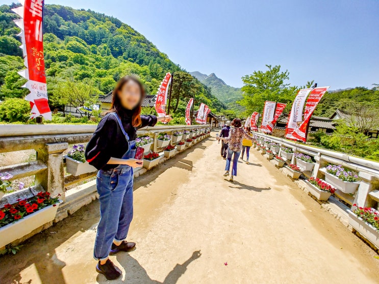  5월 문경여행, 문경새재 가볼만 한곳