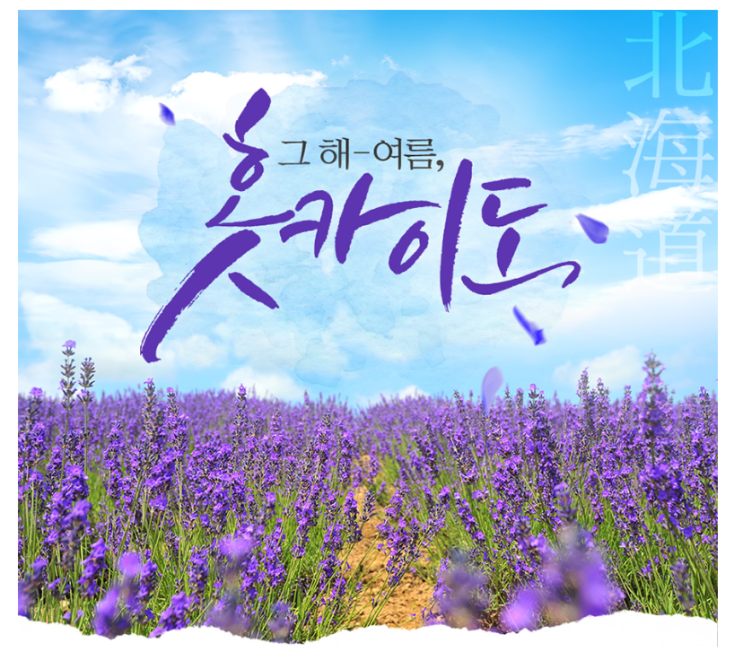  2019쿠팡로켓배송  즉시할인보랏빛향기 북해도 패키지 3박4일 618.000부터  [718,000원]
