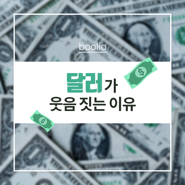  달러 환율이 오르는 이유