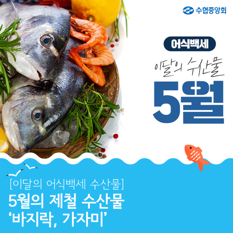  어식백세 5월의 제철 수산물 : 바지락, 가자미