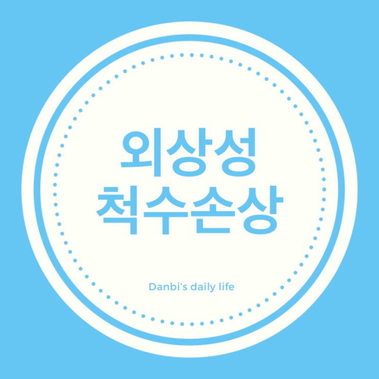  척수손상에 대하여