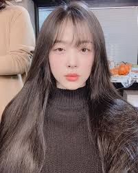  디시인사이드 설리 갤러리 "시선 강간 싫어", "내가 알아서 하면 했지..." 소신 발언