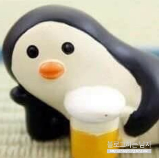  펭귄문제 정답을 알려주마 펭귄프사