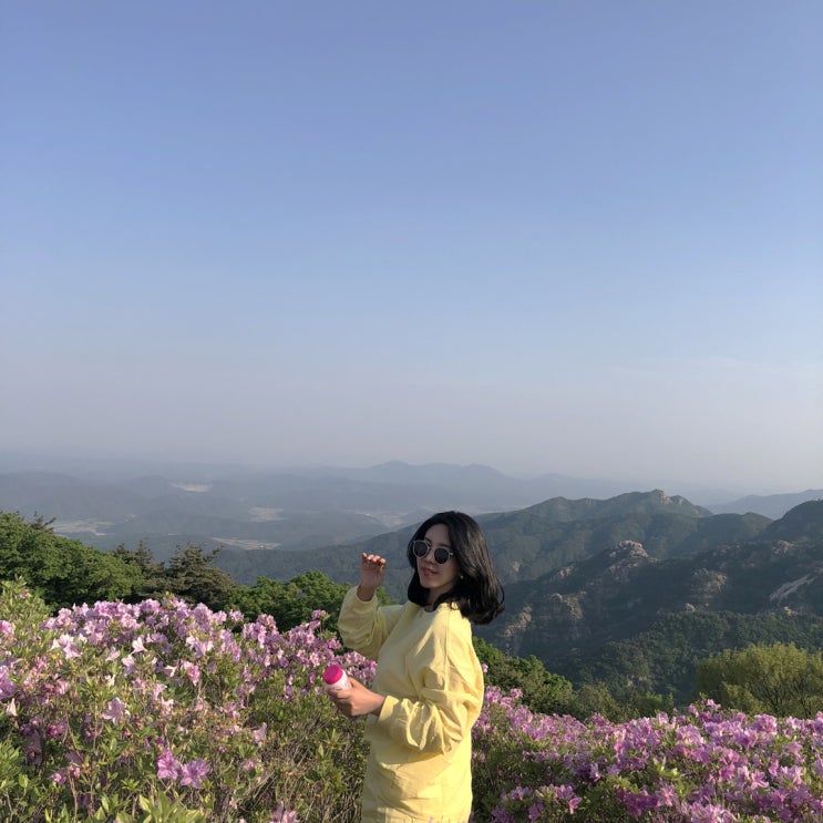  [경남 합천] 2019 황매산 철쭉제
