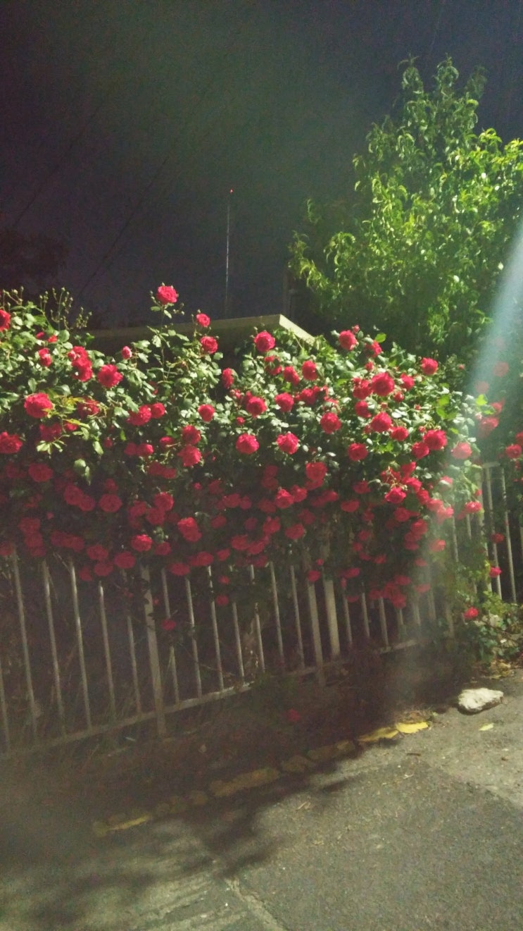  현재 3시 기준, 서울 대부분 지역 초미세먼지 나쁨 단계. 목 칼날, 콧물 줄줄, 눈 따가움.