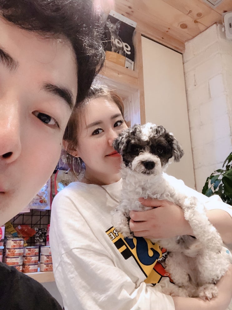  서면 리틀포레스트 사장님이 너무 좋은 서면 애견카페
