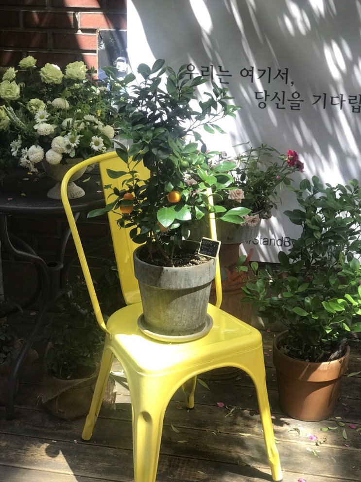  LM엔터테인먼트, 대중문화예술산업발전법 제26조 등록요건 위반으로 마포구 유사 업종 전수조사 착수(feat. 2021년까지 전수조사완료)