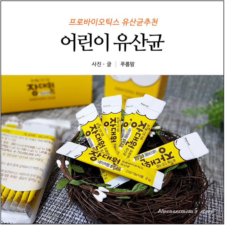  어린이 유산균 꼭 필요한 프로바이오틱스 유산균추천