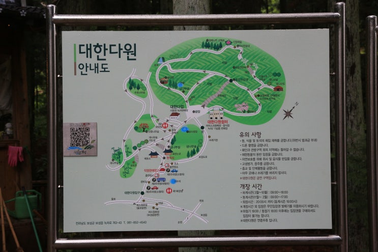  보성 가볼만한곳  보성 다원 제 1농장 녹차밭