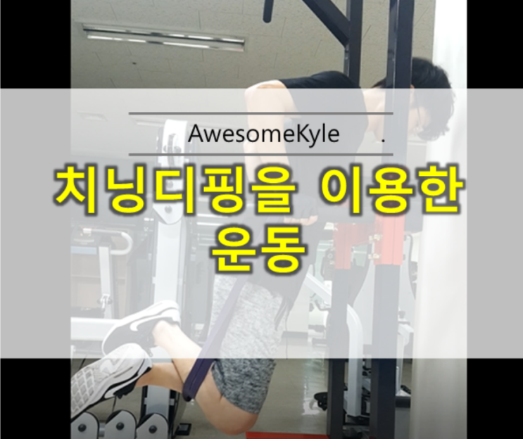  턱걸이기구을 이용한 운동 딥스 정자세 및 헬스장갑 추천