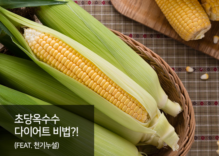  초당옥수수 다이어트 비법 (천기누설)