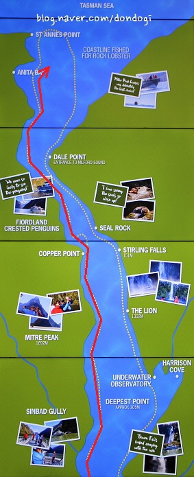  [밀퍼드사운드(Milford Sound)] 3. 첫 배 타고 더 라이언(The Lion), 디 엘리펀트(The Elephant)