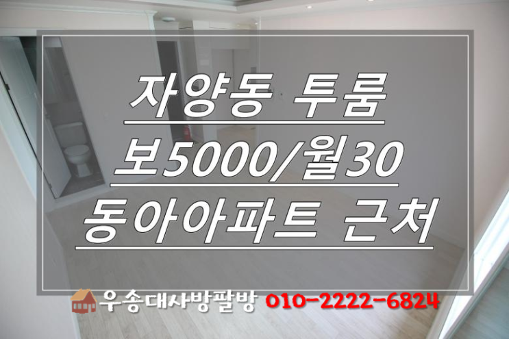  대전자양동투룸 우송대투룸 신축투룸 동아아파트 근처 주택가라서 정말 조용한 대전 동구 투룸 