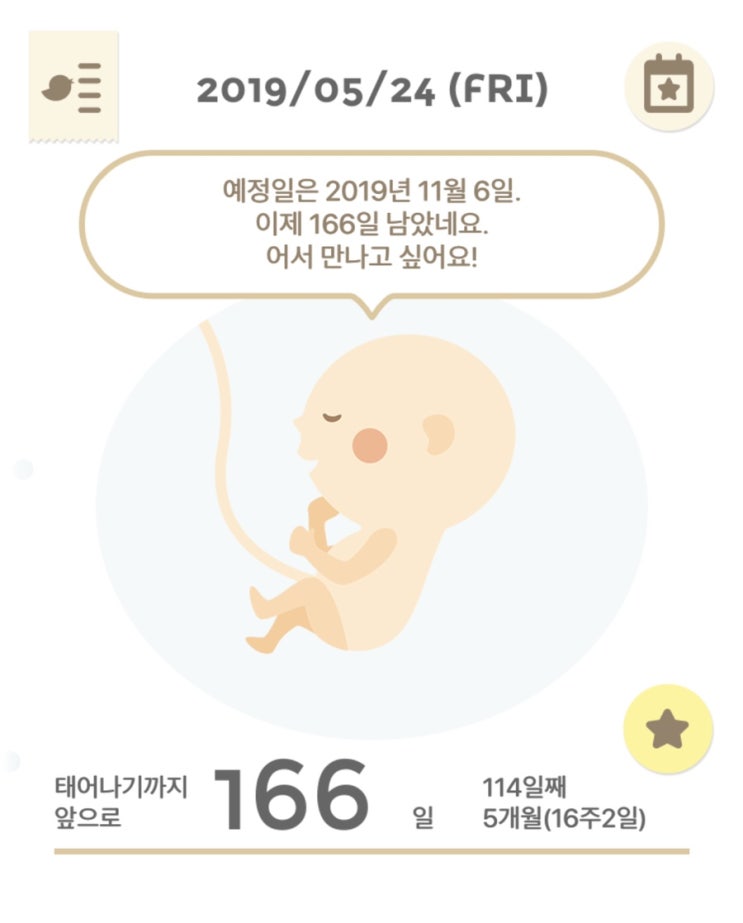  16주 2일 +4kg :: 2차기형아검사, 병원진료