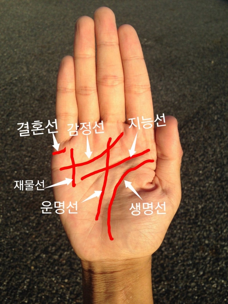 여자 손금보는법 남자 좋은 손금, 운명선과 결혼선 어떤지 확인하세요 : 네이버 블로그