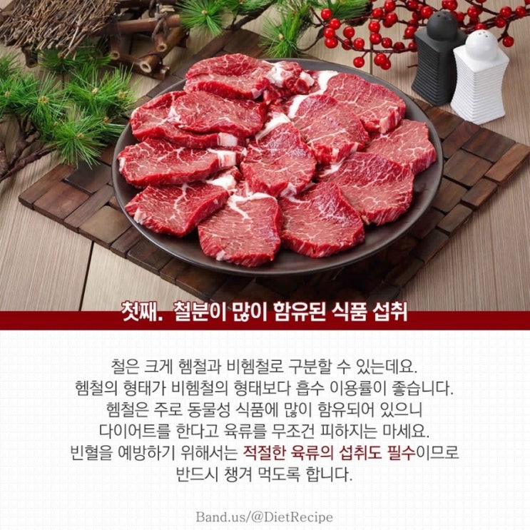  빈혈의 종류 및 빈혈에 좋은음식